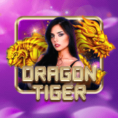 Dragon Tiger live casino game on nnph games